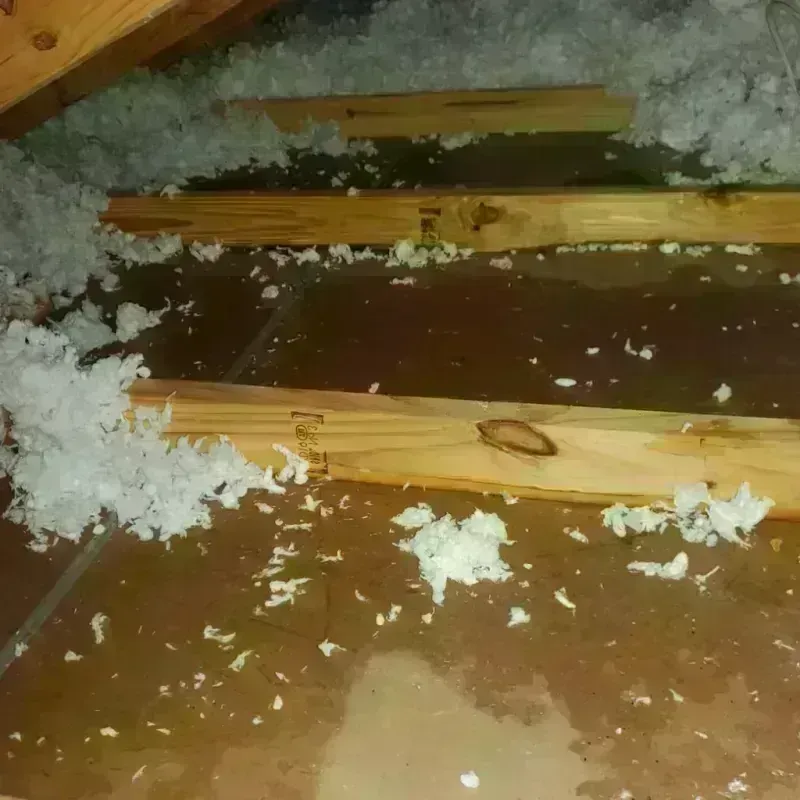 Attic Water Damage in Upper Saddle River, NJ