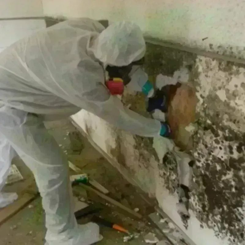 Mold Remediation and Removal in Upper Saddle River, NJ